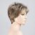 stonegrey mix 51.38.36