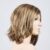bernstein rooted 12.26.19