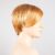 lightmango mix 28.31.19
